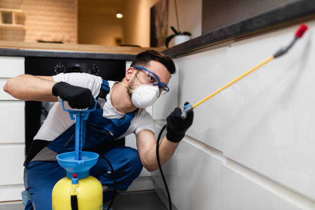 Best Best Pest Control Companies  in Altamont, TN