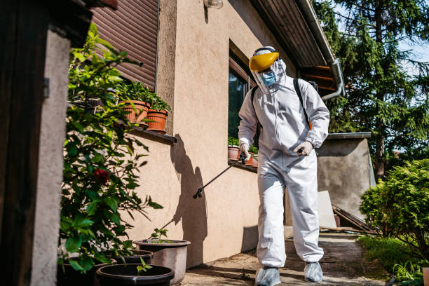 Best Cockroach Control Services  in Altamont, TN