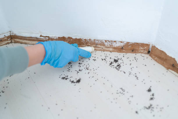 Best Pest Removal Services  in Altamont, TN