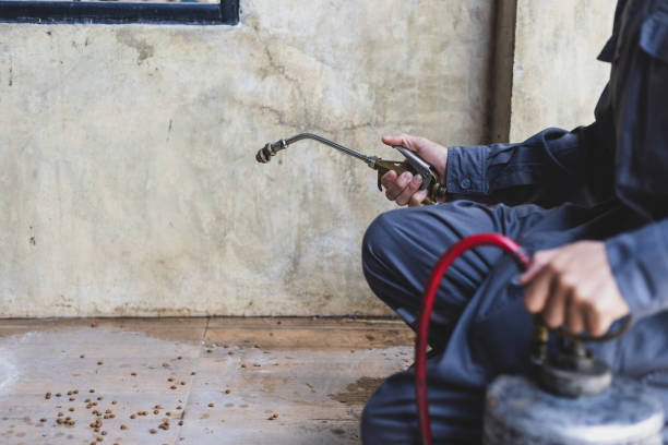 Best Best Pest Control Companies  in Altamont, TN