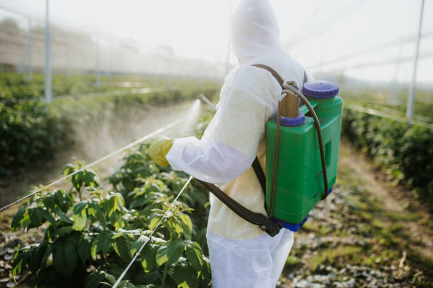 Best Best Pest Control Companies  in Altamont, TN